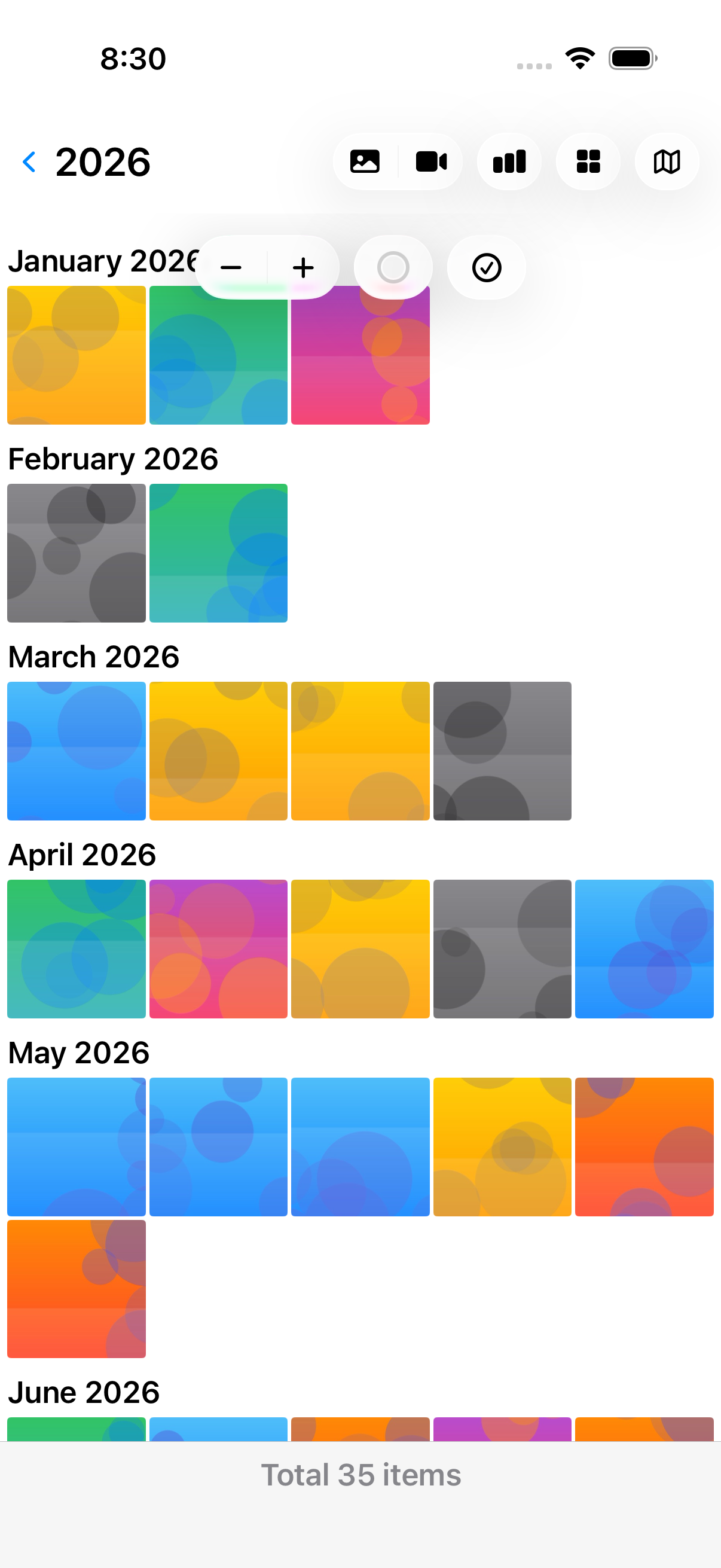Thumbnail grid grouped by day